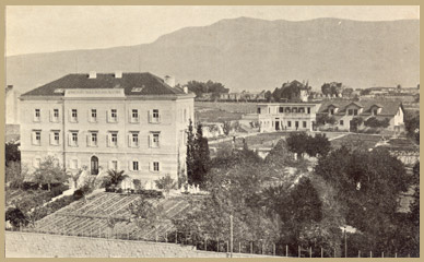 Image Image