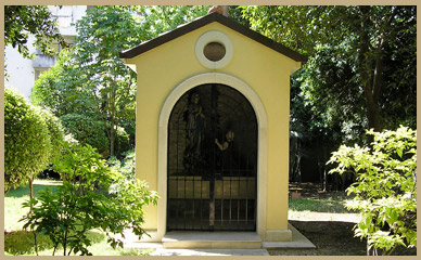Image Image