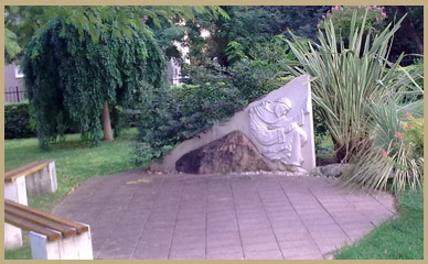 Image Image